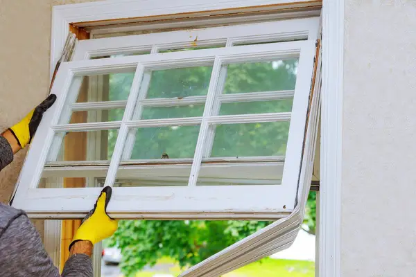 Window Installation Service